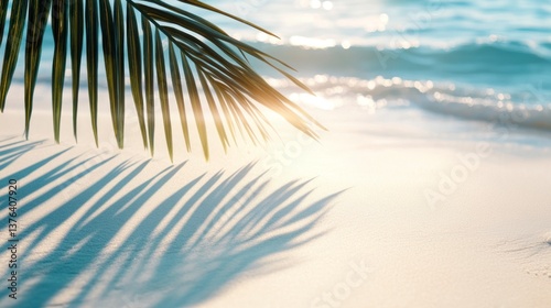 Palm Leaf Shadow on Sandy Beach with Ocean Waves Background