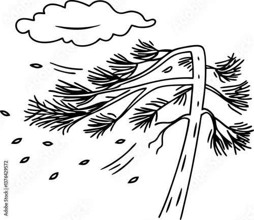 Windblown pine tree with swirling leaves and cloud in strong gusts, weather forces nature.