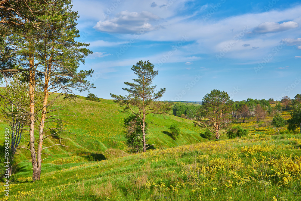 Fototapeta premium Yellow Flowers and Hills Under Blue Sky