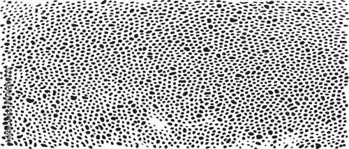 Monochrome texture composed of irregular graphic elements. Distressed uneven grunge background. Abstract vector illustration. Overlay for interesting effect and depth. Isolated on white background.
