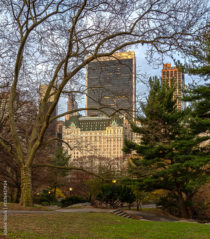 Central Park in spring