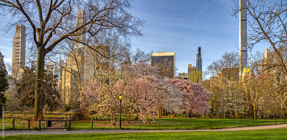 Central Park in spring