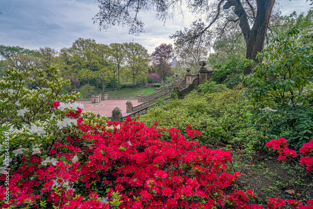 Bethesda Terrace and Fountain