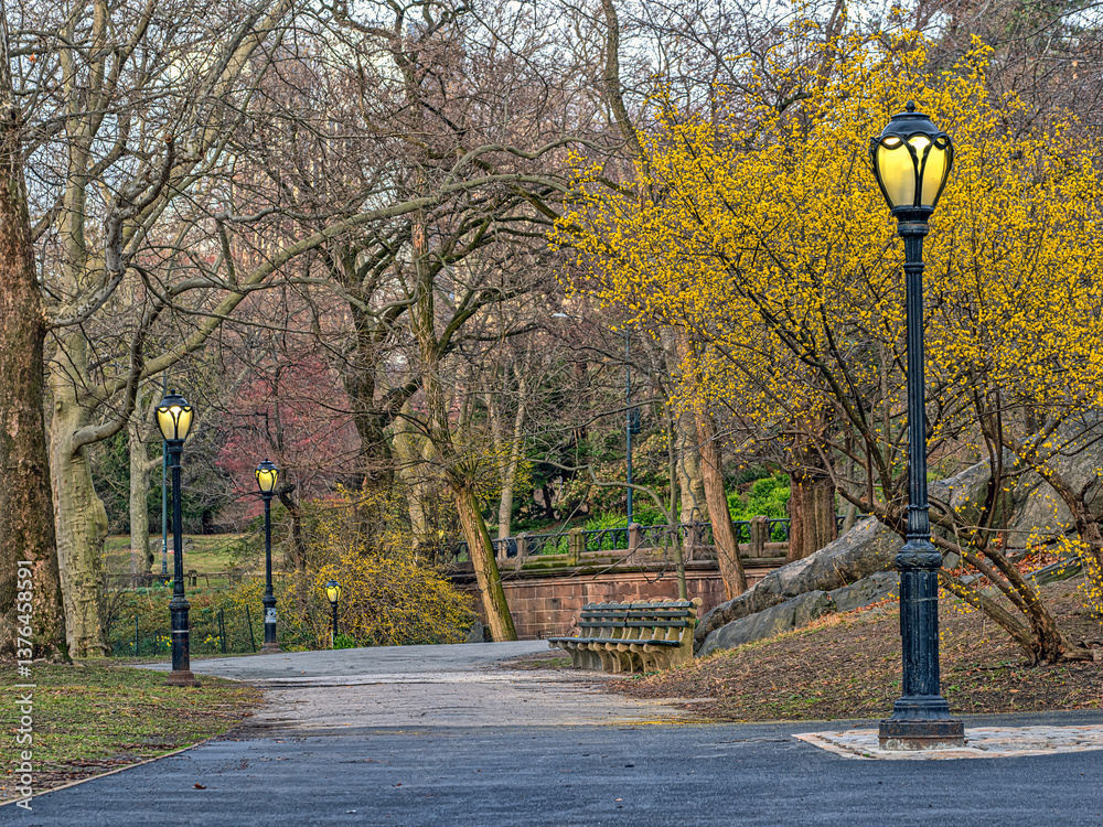 Central Park in spring