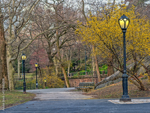 Obraz na płótnie Central Park in spring w salonie