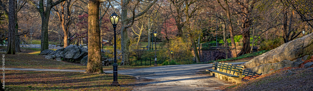 Central Park in spring