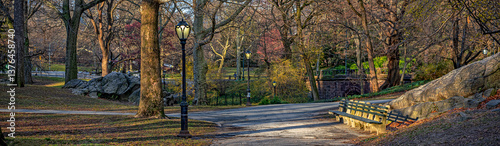 Obraz na płótnie Central Park in spring w salonie