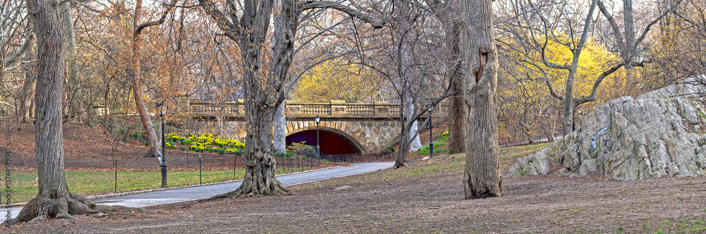 Central Park in spring