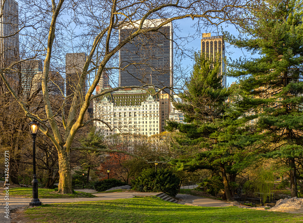 Central Park in spring