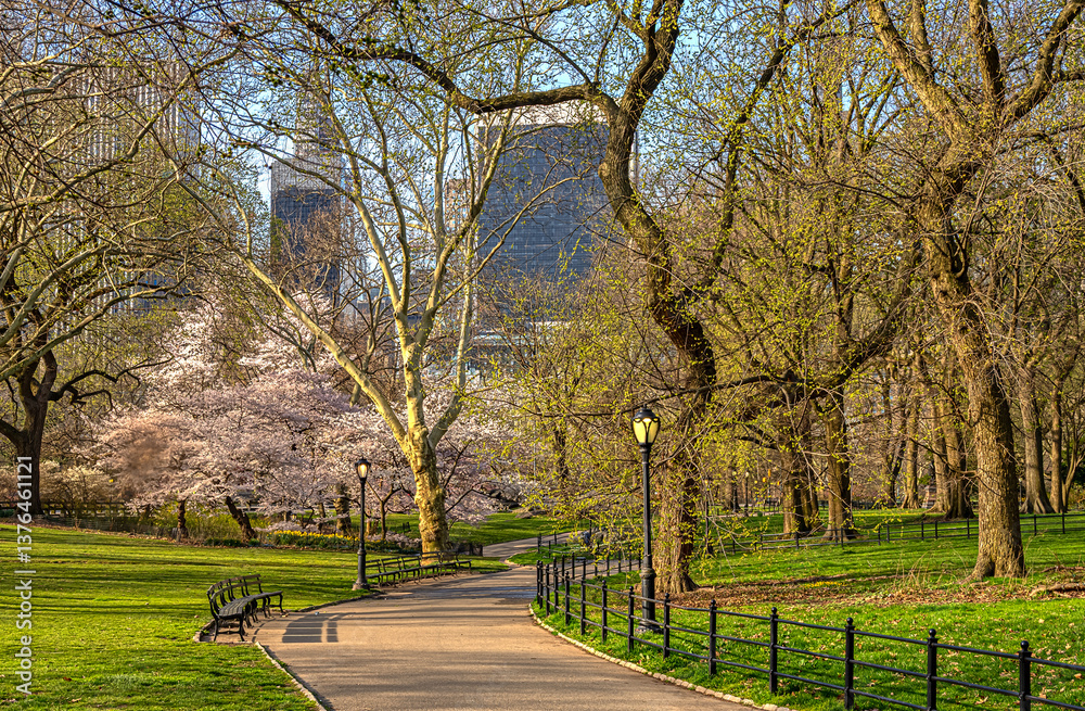 Central Park in spring