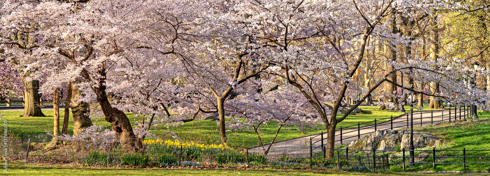 Central Park in spring