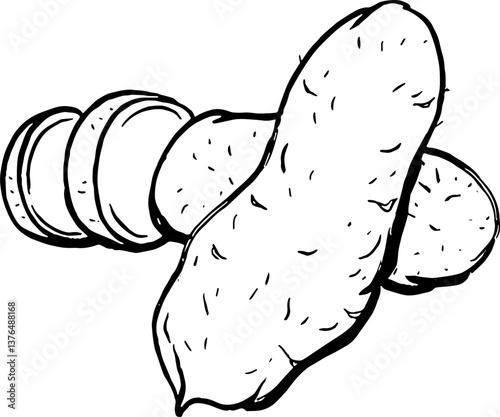 Yam. Vegetables. Hand drawn vector isolated sketch.