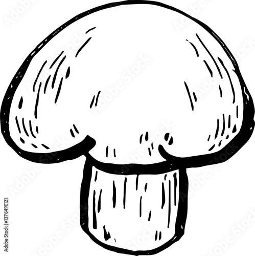 Mushroom. Vegetables. Hand drawn vector isolated sketch.