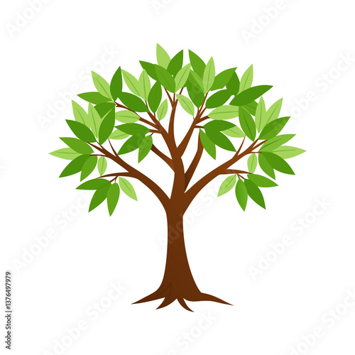 tree with green leaves on white background