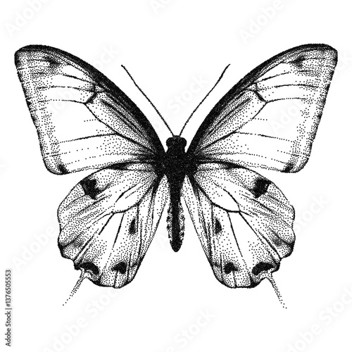 Butterfly photocopy collage element. Sticker with vintage dotted texture. Modern retro vector. 