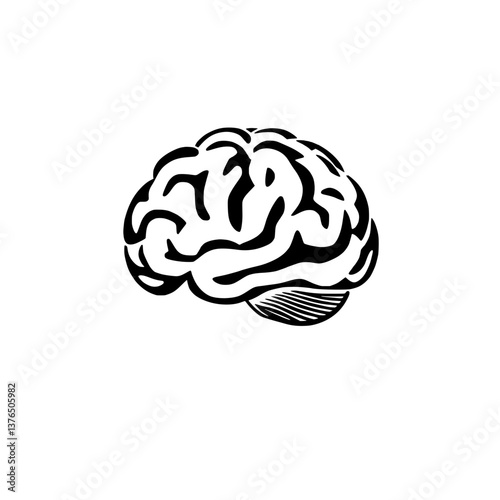 Vector illustration of human brain