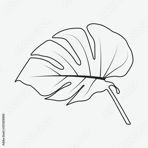 Monstera vector monster line art vector monster leaf vector houseplant vector house plant vector Indoor house plants vector aglaonema house plants vector home plant vector home plants vector.