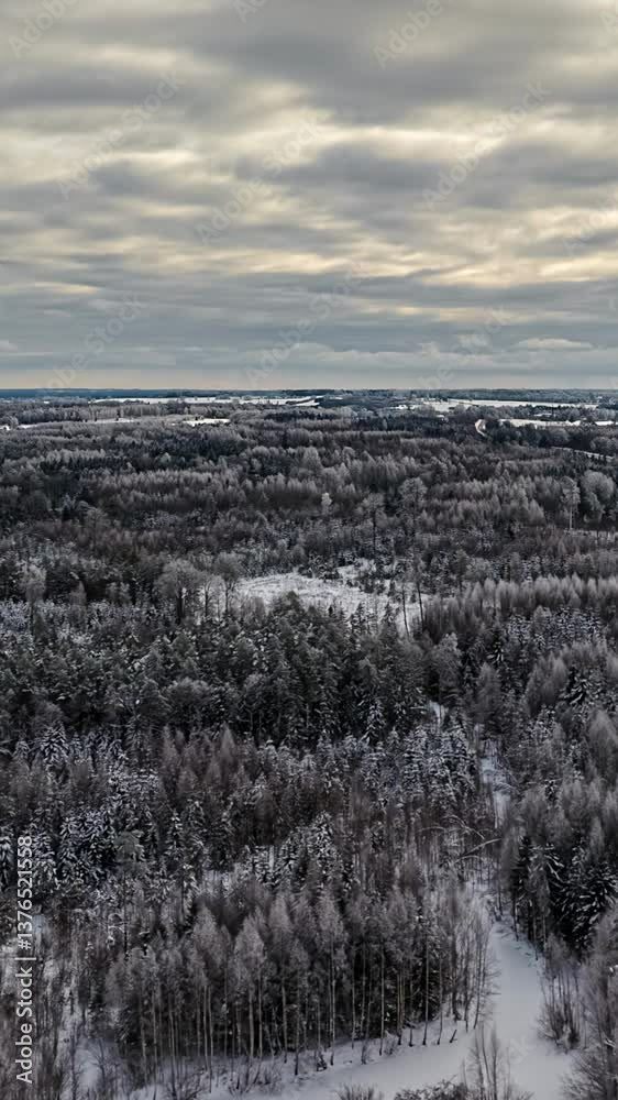 Vertical aerial hyperlapse over grey snow covered forest landscape with stormy clouds Vertical aerial hyperlapse over grey snow covered forest landscape with stormy clouds