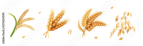 Wheat, barley, oats, rice realistic spikelet vector set. cereal grain products illustration