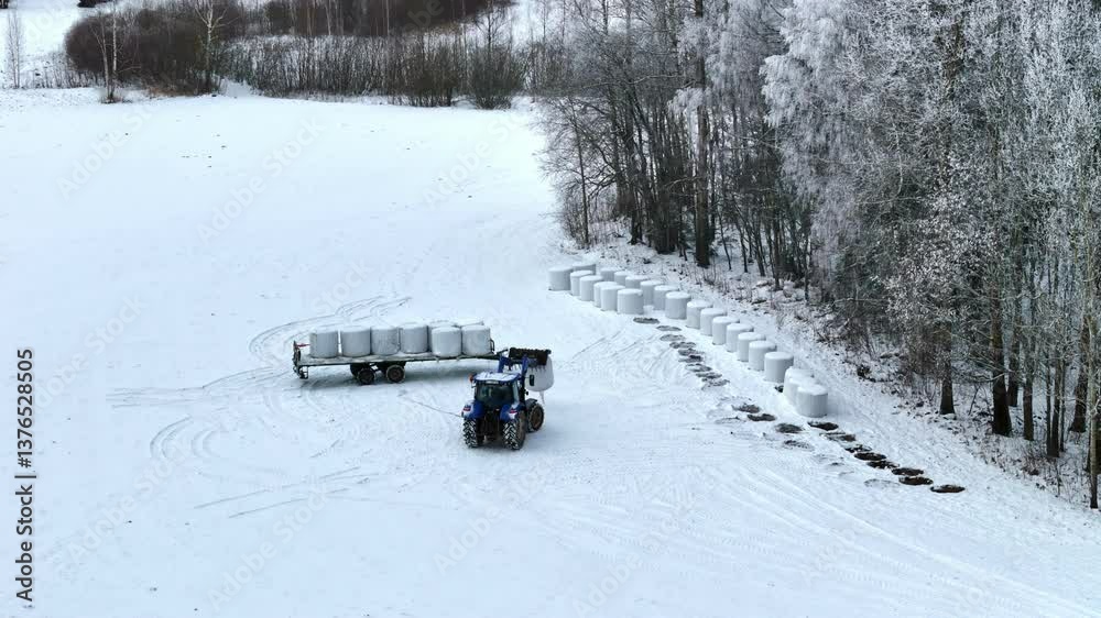 Farmer with tractor loading packed hay into trailer in winter season, aerial view Farmer with tractor loading packed hay into trailer in winter season, aerial view