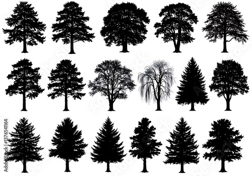 A collection of majestic tree silhouettes showcasing diverse species in a stark, graphic style against a pure white backdrop.
