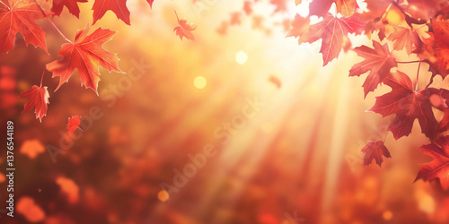 Autumn maple leaves with glowing golden sunlight and bokeh background
