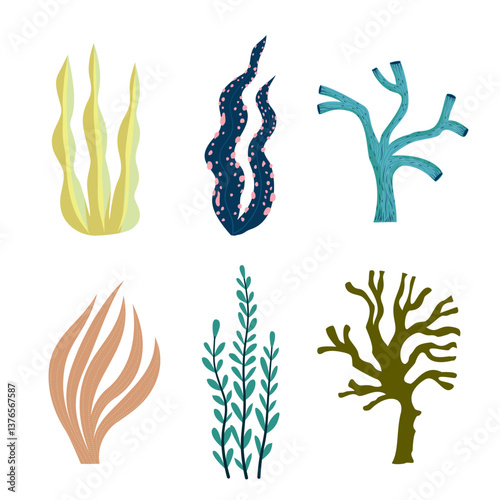 Algae, corals. Various bright sea plants in flat style.