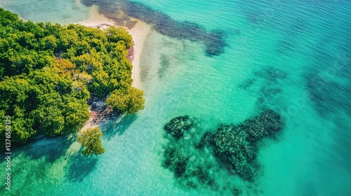 Stunning Aerial View of Biscayne Bay: Vibrant Shallow Waters and Lush Islands in Miami, Florida