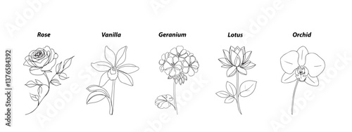 Elementos Hogareños III: Flores