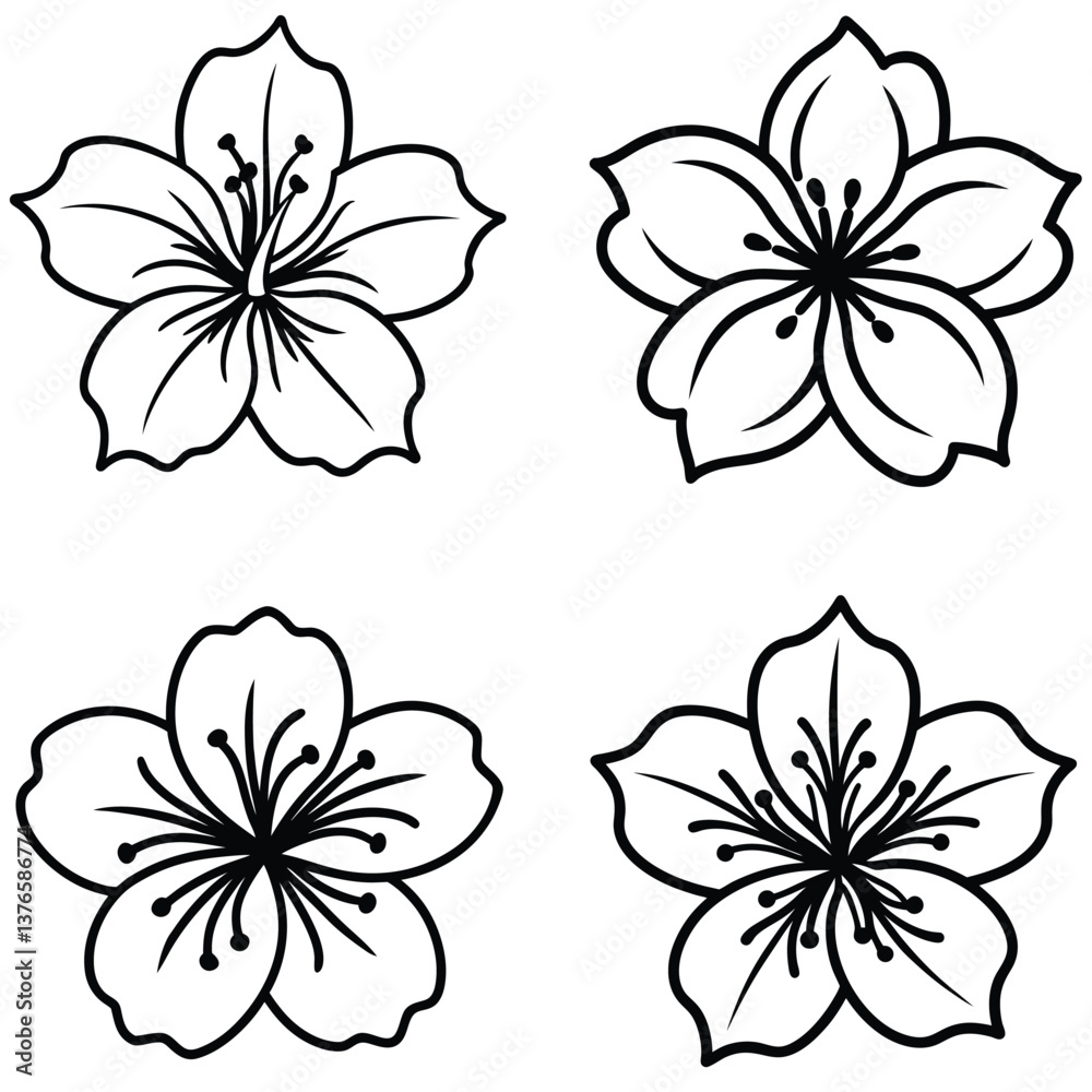 Obraz premium Black and white floral set with flowers leaves and decorative elements