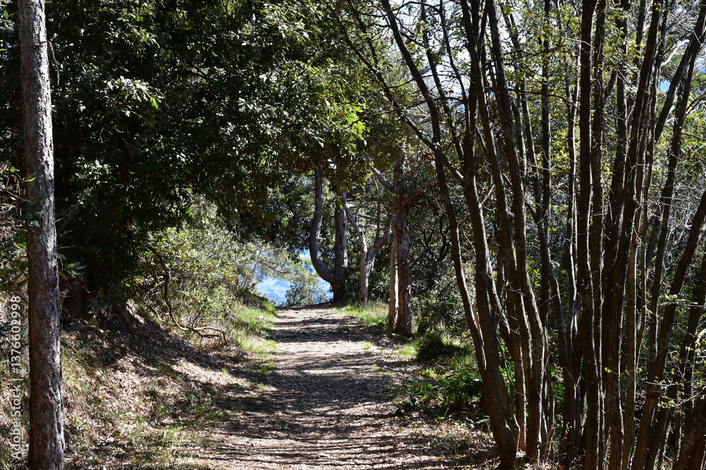 Ein Wanderweg bei Tignale oberhalb vom Gardasee