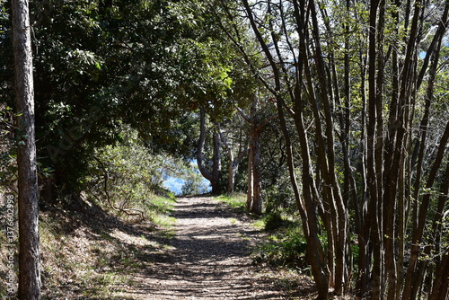 Obraz na płótnie Ein Wanderweg bei Tignale oberhalb vom Gardasee w salonie