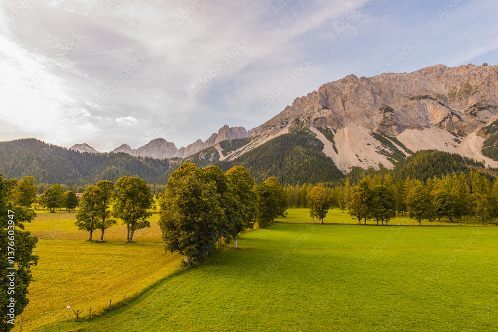 Ramsau am Dachstein, Ahornboden, Bergahorn, Acer pseudoplatanus,