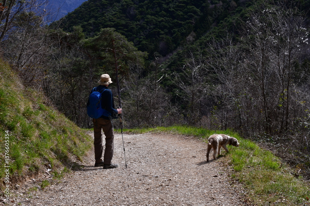 Ein Mann und sein Lagotto Romagnolo Hund wandern im Trentino