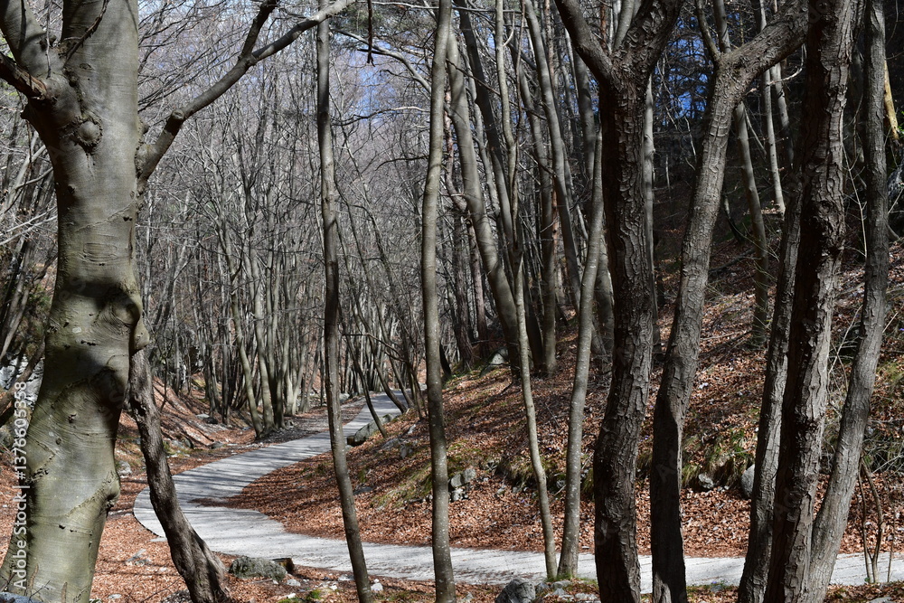 Ein Wanderweg bei Pregasina im Trentino