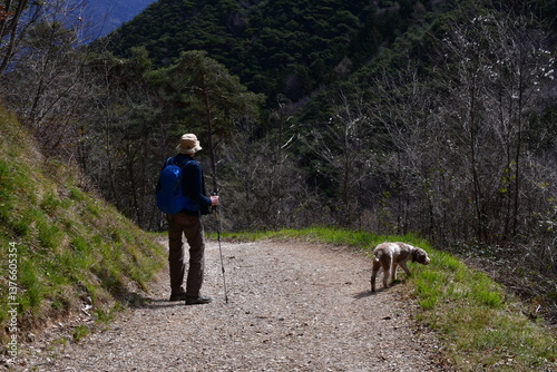 Obraz na płótnie Ein Mann und sein Lagotto Romagnolo Hund wandern im Trentino w salonie