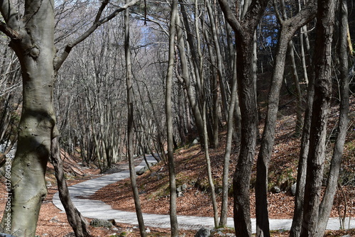 Obraz na płótnie Ein Wanderweg bei Pregasina im Trentino w salonie