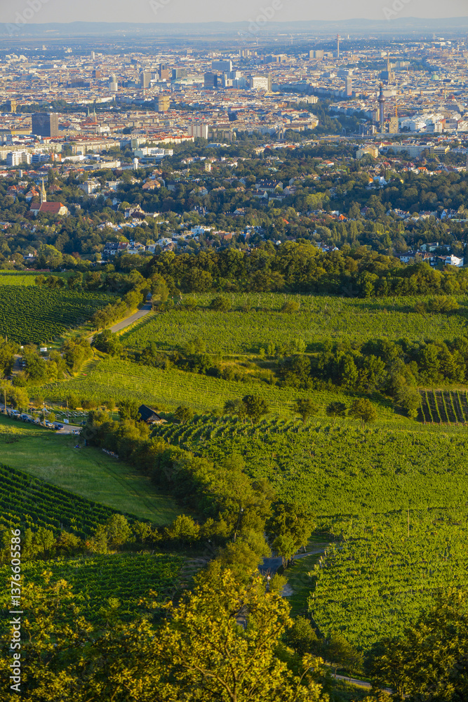 Kahlenberg, Blick über Wien, Österreich, Wien, 19. Bezirk