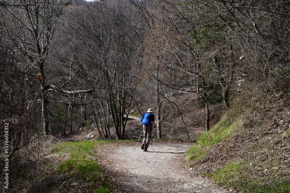 Ein Mann wandert im Trentino Ein Mann wandert im Trentino