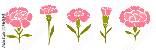 Collection of spring pink carnations illustration isolated on white background. Vector illustration
