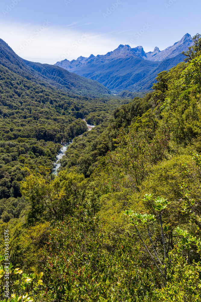 Obraz premium Cleddau Valley near Highway 94 to Milford Sound in South Island, New Zealand