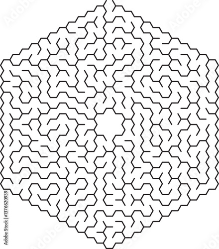 Complex Hexagonal Maze Pattern Geometric Design Puzzle Labyrinth