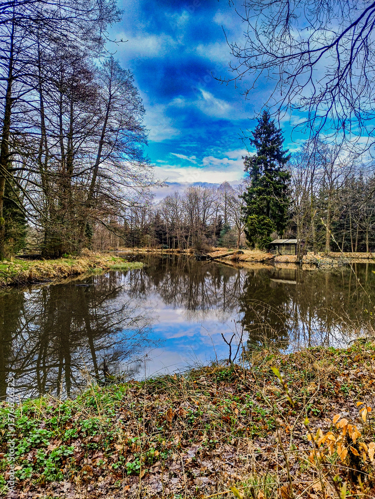 Mały staw położony wśród drzew. Z lewej strony widoczny jest wysoki świerk. W gładkiej tafli wody widać lustrzane odbicie lekko zachmurzonego nieba i okolicznych drzew.