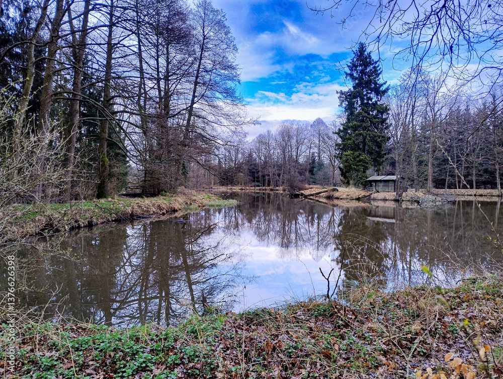 Mały staw położony wśród drzew. Z lewej strony widoczny jest wysoki świerk. W gładkiej tafli wody widać lustrzane odbicie lekko zachmurzonego nieba i okolicznych drzew.