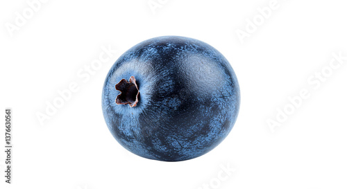 Close up of a single blueberry with a visible stem against a plain black background in sharp focus