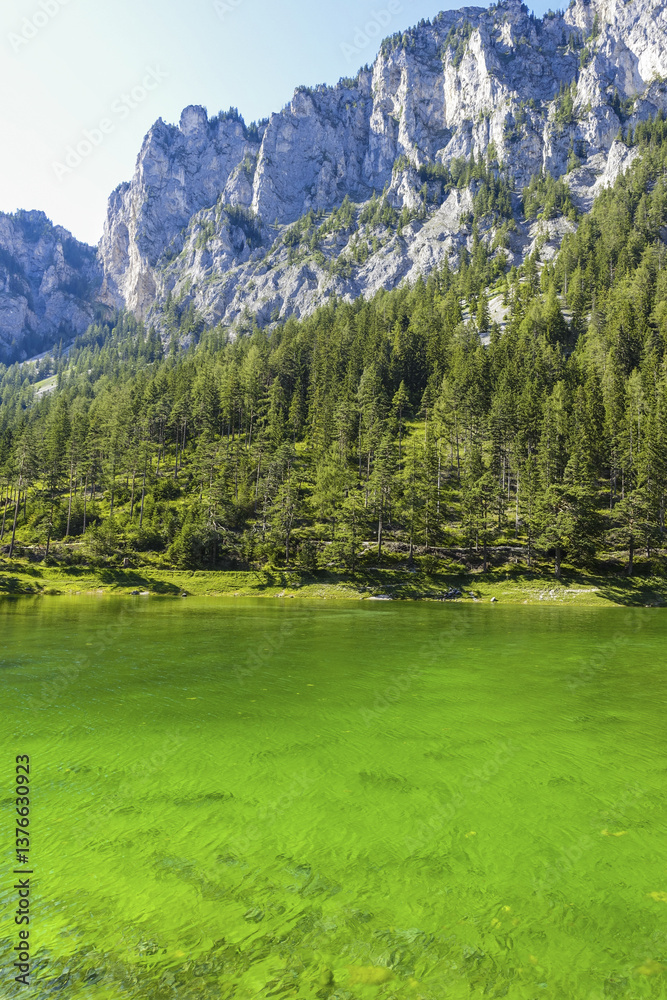 Tragöss, Grüner See, Österreich, Steiermark