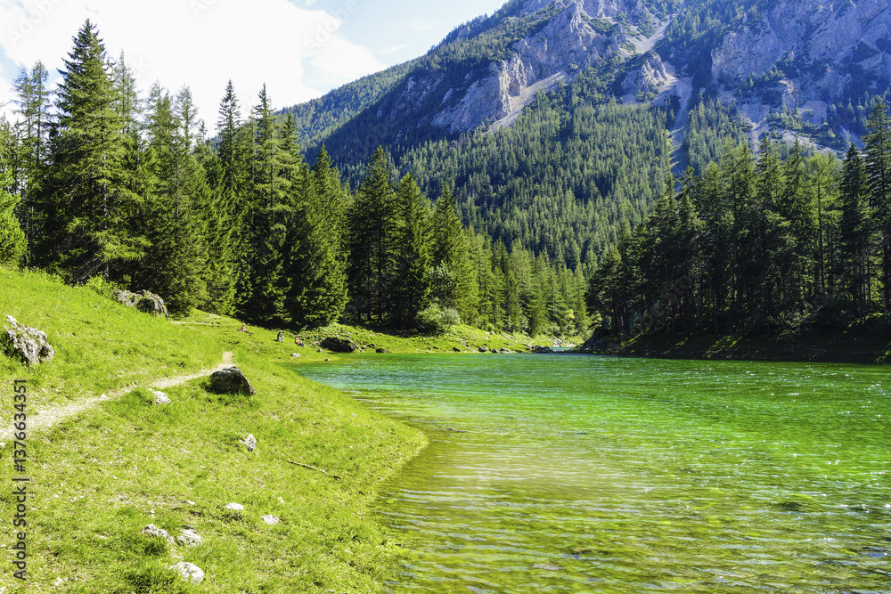 Tragöss, Grüner See, Österreich, Steiermark