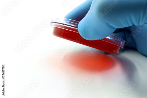A scientist's or researcher's hand taking a microbiological sample from a surface. Disinfection. Food safety.