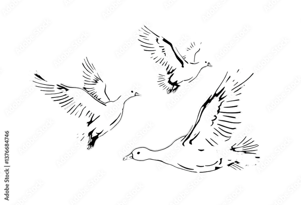 Obraz premium Title: Geese Walking White Isolated [ ]
