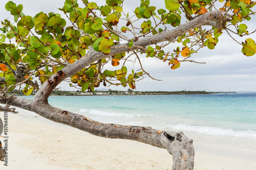 Kuba, Playa Guardalavaca, Holguin, Guardalavaca